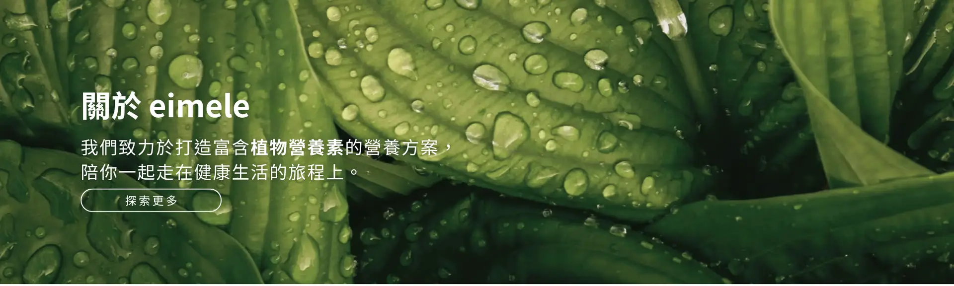 eimele banner full of green leaves