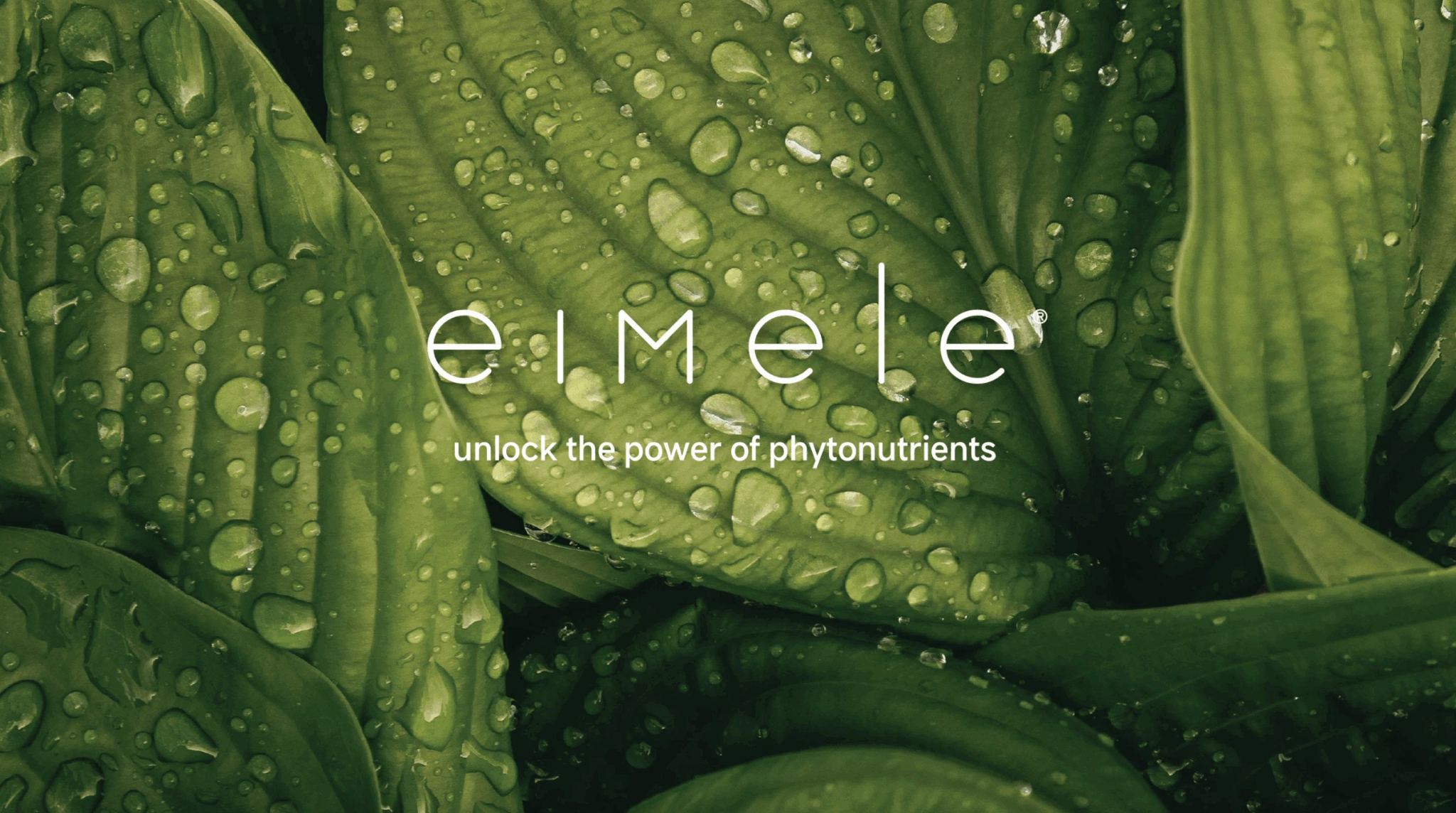 eimele slogan 【eimele】超能量咖啡+校準⼩紅粉 精品正裝 (熱銷雙星組合)